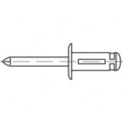 TOOLCRAFT TO-5455302 Open popnagel 4.8 mm 250 stuk(s)