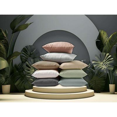 Kussensloop Happy Home Nude Bed van 135 Kussensloop Happy Home Nude Bed van 135