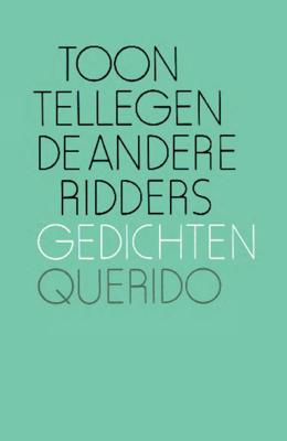 De andere ridders - Toon Tellegen - ebook