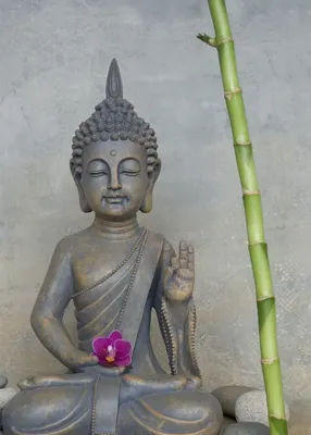 Alexsar Art Tuinschilderij boedhha grijs 70x50cm