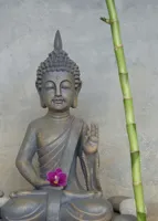 Alexsar Art Tuinschilderij boedhha grijs 70x50cm - thumbnail