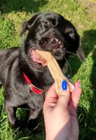 SYTA MICHA For picky dogs Rabbit with banana - hondenkluif - 13,5 cm - thumbnail