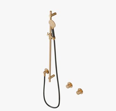 Glijstangset Hotbath Cobber Met Wandaansluitbocht En Handdouche Geborsteld Messing Living Colours