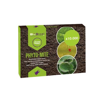 Roofmijten tegen spint 10.000 | PHYTO-MITE