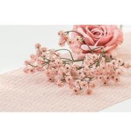 Peach Festony Tafelloper (3m) - thumbnail