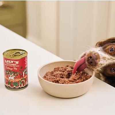 LILY'S KITCHEN DOG COTTAGE PIE - thumbnail