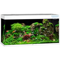 Juwel aquarium Rio 350 LED met filter zwart Juwel Gebr. de Boon - Gebr de boon - thumbnail