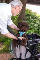 Groentetrolley Carlett LETT490P-C1 - thumbnail