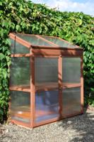 Sweet Basil kweekkas - thumbnail