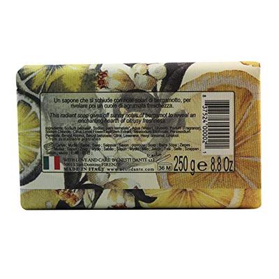 Nesti Dante il frutetto citron & bergamot zeep 250gr.
