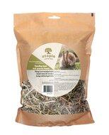 Utopia timothy hooi met groene haver - thumbnail