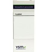 VSM Rhus toxicodendron LM30 4 Gram