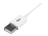 StarTech.com 3 m witte USB-verlengkabel - A-naar-A M/F - thumbnail