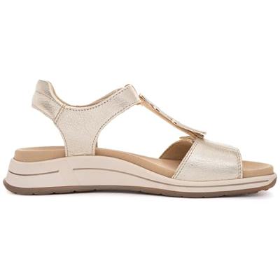 Ara 1234804 - alle Ara 1234804 - alle