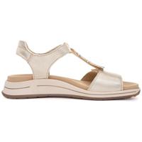 Ara 1234804 - alle - thumbnail