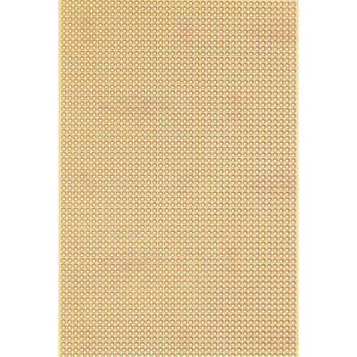 Rademacher WR-Typ 815-5 Printplaat Hardpapier (l x b) 160 mm x 100 mm 35 µm Rastermaat 2.50 mm Inhoud 1 stuk(s)