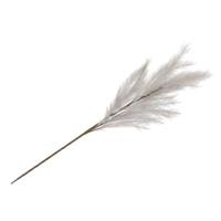 Daan Kromhout Kunsttak pluimen zilvergrijs 100 cm | 12 stuks - thumbnail