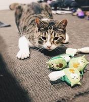 Fuzzyard Crinkle pluche kattenspeelgoed met touwtje en kattenkruid binnenin (Avocatos) - thumbnail