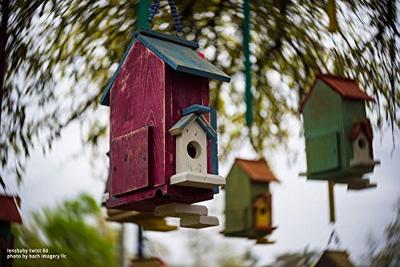 Lensbaby Twist 60 Nikon