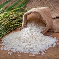 Royal Orient - Jasmijn Rijst - 20kg - thumbnail