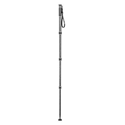 Gitzo Series 2 GM2542 monopod