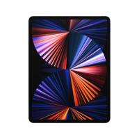 Refurbished iPad Pro 12.9 256 GB (2021) Zilver Licht gebruikt - thumbnail