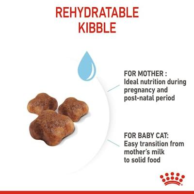 Royal Canin Mother & Babycat kattenvoer 4 kg - thumbnail