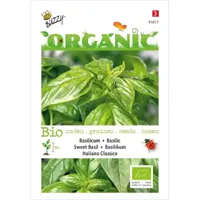 Zaden Organic Basilicum - Italiano Classico (BIO) Buzzy - Buzzy - thumbnail