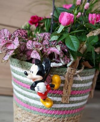 Pot Buddy Mickey 6x5x10 cm Disney - Disney Pot Buddy Mickey 6x5x10 cm Disney - Disney