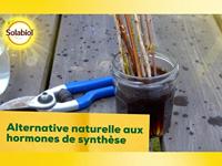 Kunstmest voor planten Solabiol Soboutu40 Osyril 40 ml - thumbnail