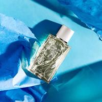 Rochas Eau De Rochas Pour Homme Eau De Toilette Spray 100 ml Heren - thumbnail