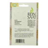 Bio-zaad wasabino Maat: - thumbnail