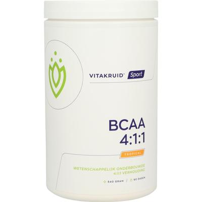 Vitakruid BCAA 4:1:1 l-leucine, l-isoleucine & l-valine 540 Gram