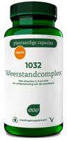 1032 Weerstandcomplex - thumbnail