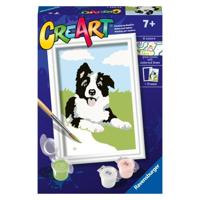 Ravensburger creart serie F border collie - thumbnail