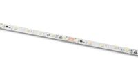 Barthelme 50413333 LED-strip Met soldeeraansluiting 24 V 5 m Warmwit 5 m - thumbnail