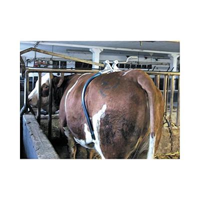 Spanbeugel amerikaans model