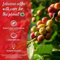 Senseo Douwe egberts classic (10x 48 pads) (kopie) - thumbnail