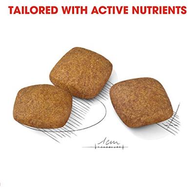 Royal Canin Relax Care Maxi hondenvoer 2 x 9 kg Royal Canin Relax Care Maxi hondenvoer 2 x 9 kg