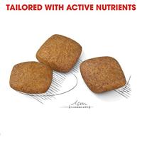 Royal Canin Relax Care Maxi hondenvoer 2 x 9 kg - thumbnail