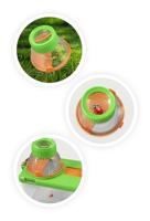 Terrarium groen - thumbnail