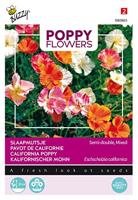 Zaden Poppies of the world Slaapmutsjes Dubbelbl. Gem. Buzzy - Buzzy - thumbnail