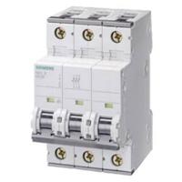 Siemens 5SY43067 5SY4306-7 Zekeringautomaat 6 A 230 V, 400 V - thumbnail