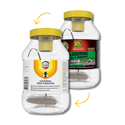 Home defense vliegenval