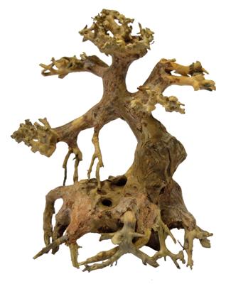 Bonsai Driftwood Xs aquaria SuperFish - Superfish Bonsai Driftwood Xs aquaria SuperFish - Superfish