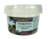 DIERENDROGIST PROBIOTICA CAPSULES 60 ST - thumbnail