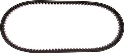 MALOSSI v-snaar versterkt "verstärkt" v-belts verst 22.5x814mm