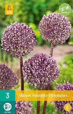 Allium summer drummer 3 bollen