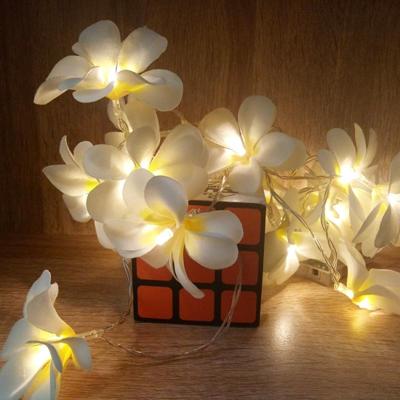 1.5 m 10 LEDs batterij aangedreven warm wit creatieve DIY Frangipani geleid string verlichting bloemen vakantie verlichting evenement partij Garland s