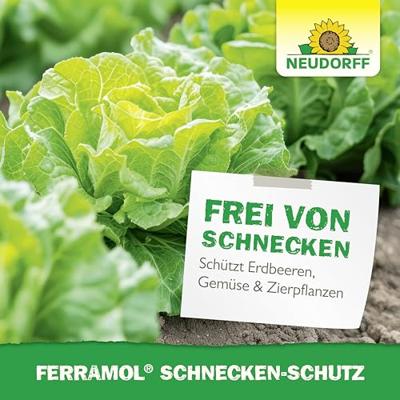 Neudorff Ferramol Slakkenverschrikker Functies: Afschrikking 1 stuk(s)